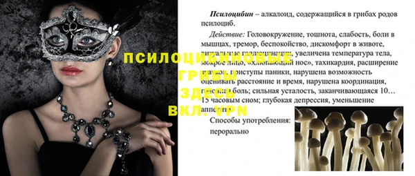 мяу мяу мука Медногорск