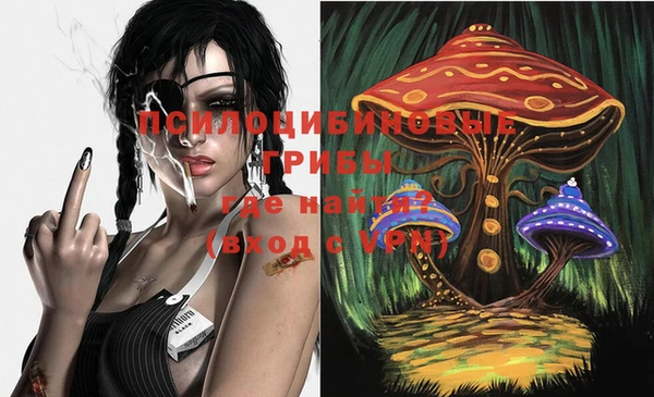 мяу мяу мука Медногорск
